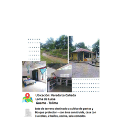 finca-las-palmeras.png